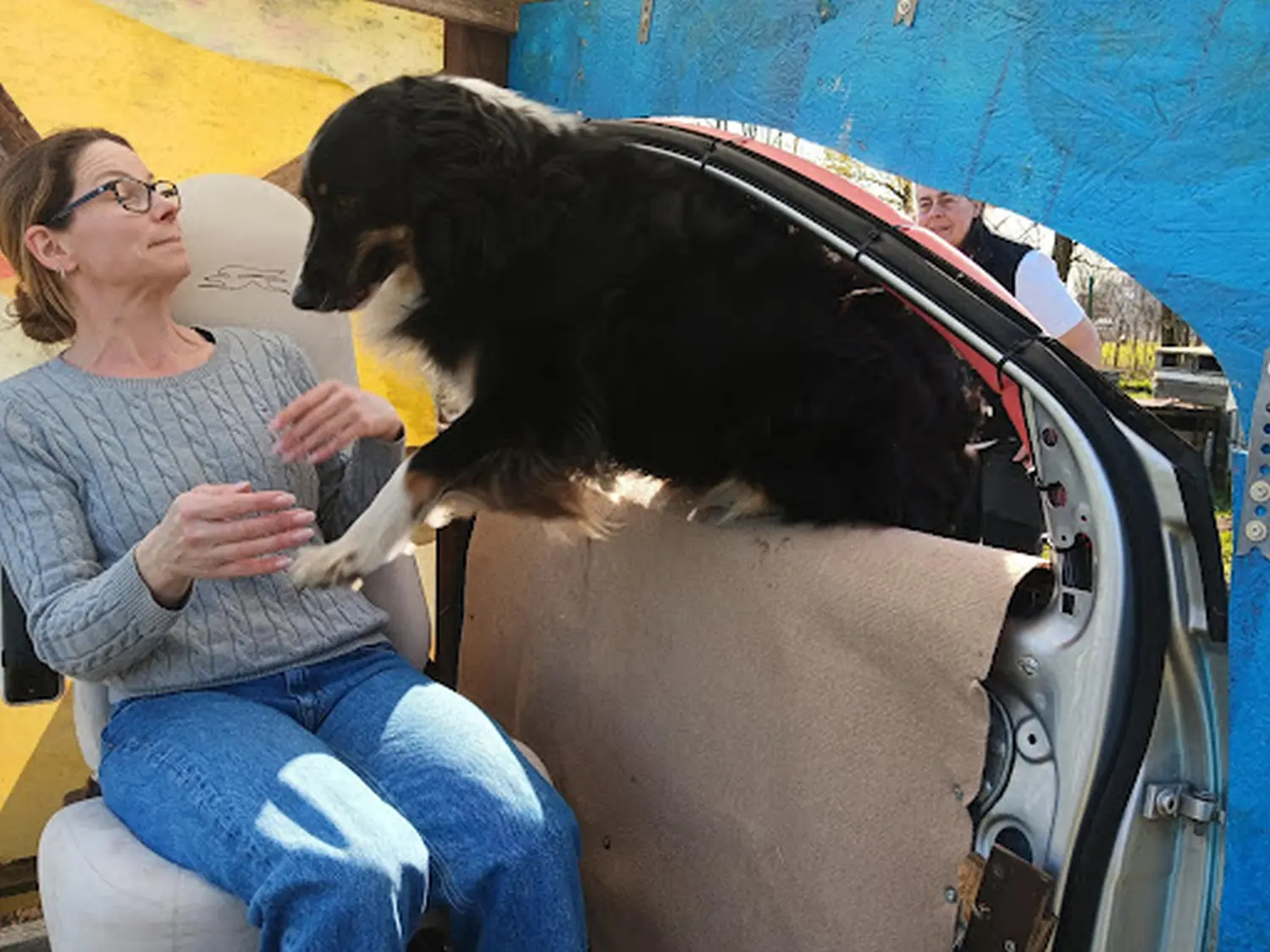 Mantrailing hund von HeP Hunde extrem Parcours