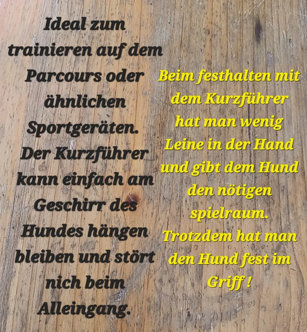 Pfoten-Auszeit von HeP Hunde extrem Parcours