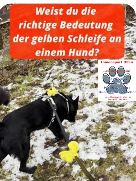Pfoten-Auszeit von HeP Hunde extrem Parcours