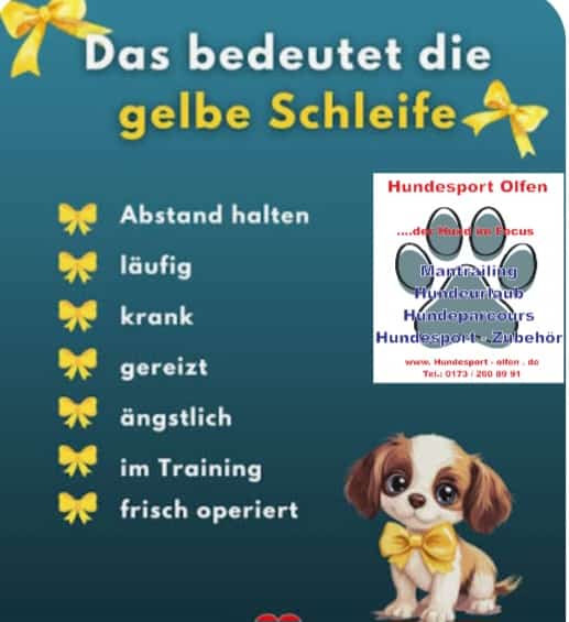 Pfoten-Auszeit von HeP Hunde extrem Parcours